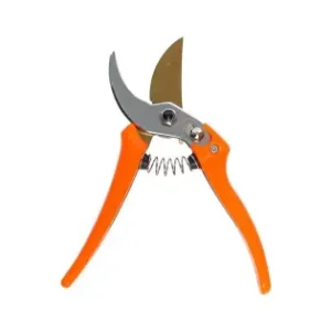 Doar azi Foarfec vie cromat SK-5 22mm