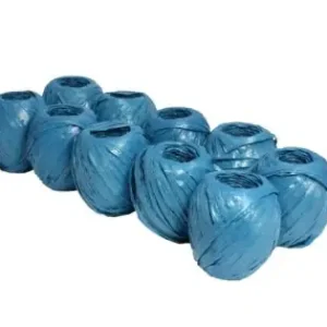 Set 10 ata rafie 100gr Retur ușor