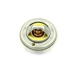 Termostat Manitou 604553 Preț mic