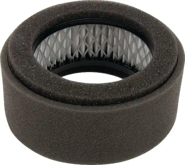 Ofertă exclusivă Air filter for Robin