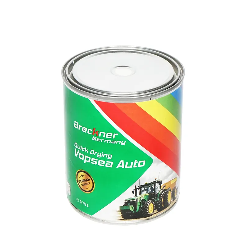 Vopsea 1K alb polar 0.75L Breckner Germany Preț mic