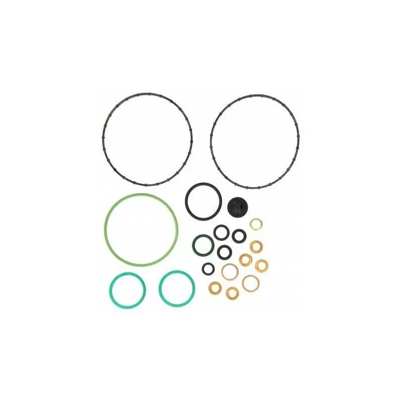 Set Garnituri Pompa Injectie 2467010002, 9946340, 50 01 833 059, 2 467 010 002, 2467010002 Livrare expres