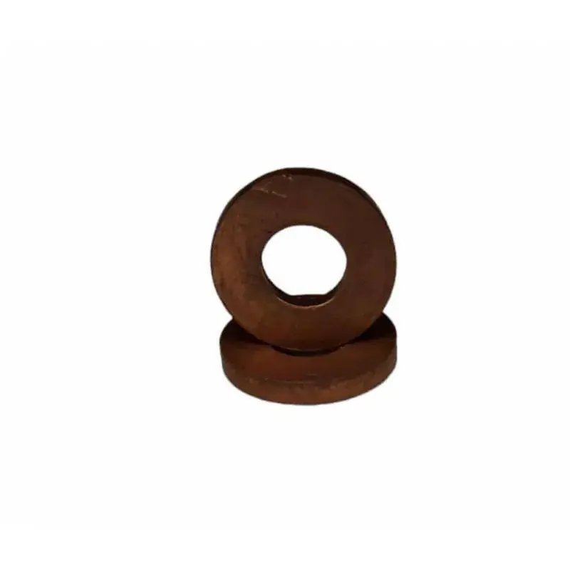 Premium Saiba Injector 7,3x16x2,45 MM, 49430666, EL650.510
