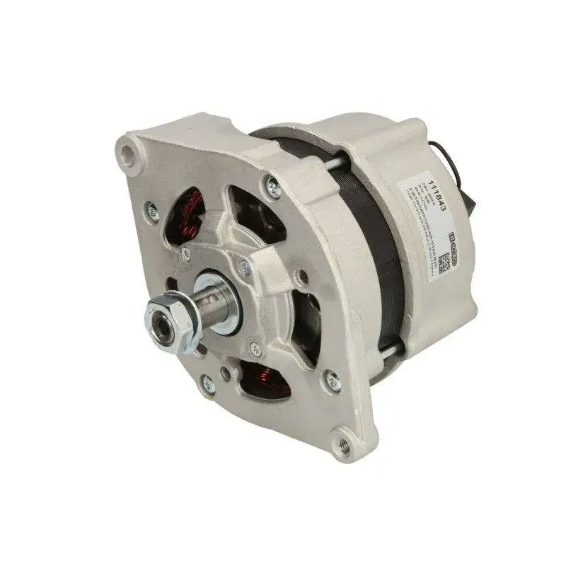 Alternator Case 14V-100A, 6518619M91 Chilipir