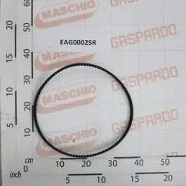 Maschio Gaspardo CINGHIA SPA-1107-REX EAG00025R Livrare expres