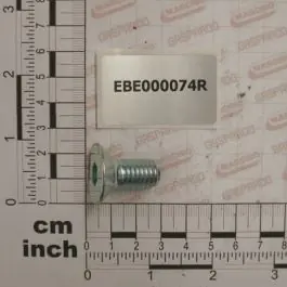 Maschio Gaspardo SURUB 12X25 TPSEI UNI 5933 EBE000074R Calitate înaltă