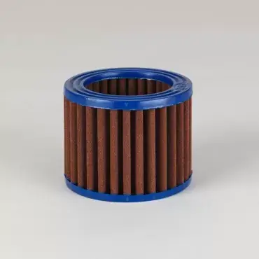 Filtru aerisitor Donaldson P171785 Cel mai vândut