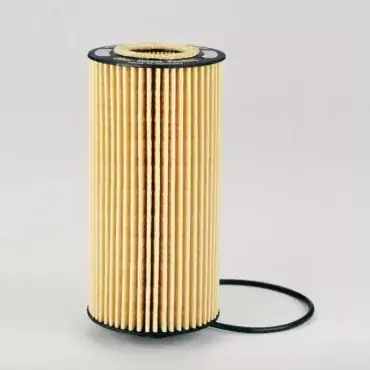 Filtru Combustibil Donaldson P550528 Expediere rapidă