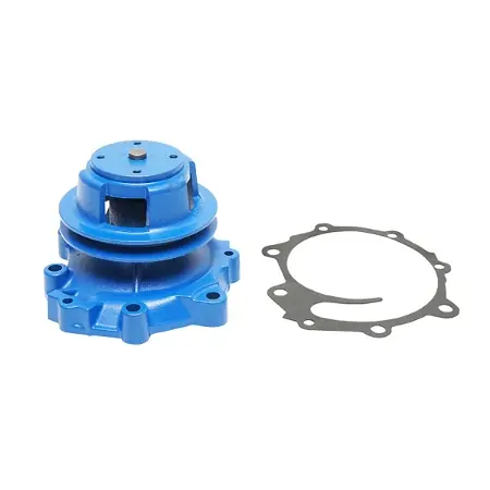 Livrare rapidă Pompa apa pentru Ford OEM D5NN8501E