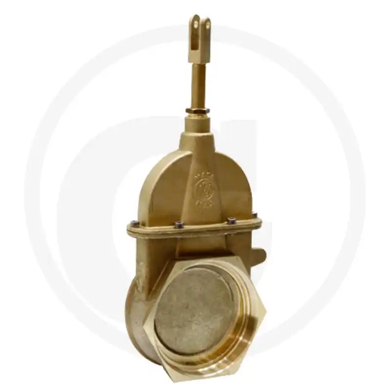 Plată sigură Robinet golire vidanja 5"