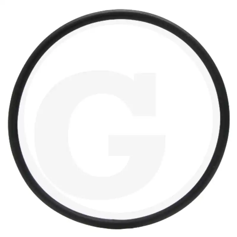 Ofertă O-ring piston monobloc Case-IH 302910A1